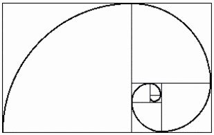 Spirale logaritmica.jpg
